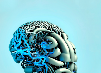 Conoce todo sobre el implate cerebral de Neuralink.- Blog Hola Telcel