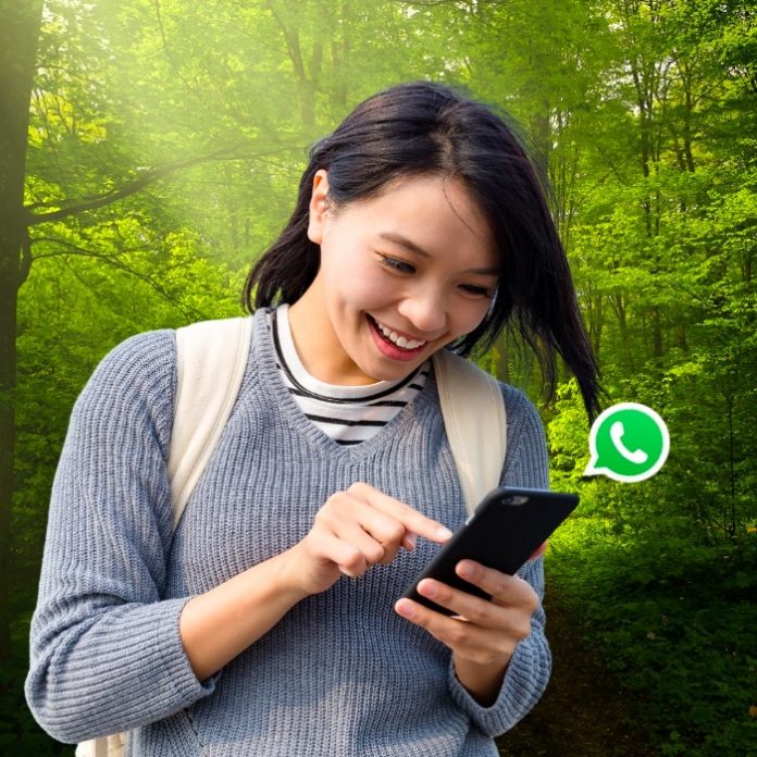 La app de WhatsApp ahora permite el envío de fotos en 4K sin ningún truco.-Blog Hola Telcel