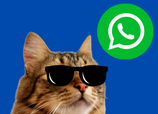 Conoce cómo funciona el cifrado de extremo a extremo en WhatsApp con ayuda de los gatitos.- Blog Hola Telcel