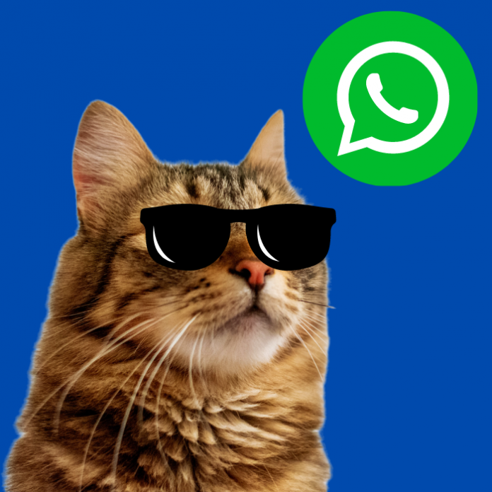 Conoce cómo funciona el cifrado de extremo a extremo en WhatsApp con ayuda de los gatitos.- Blog Hola Telcel