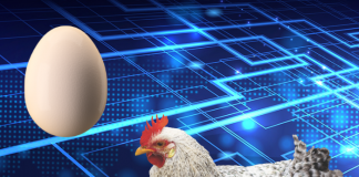 ¿Fue primero la gallina o el huevo? ChatGPT responde a este enigma.-Blog Hola Telcel