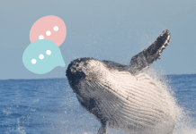 Conoce la IA con la que se puede entender a las ballenas.-Blog Hola Telcel