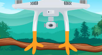 ¿Un dron con patas de ave? Conoce la finalidad de este invento