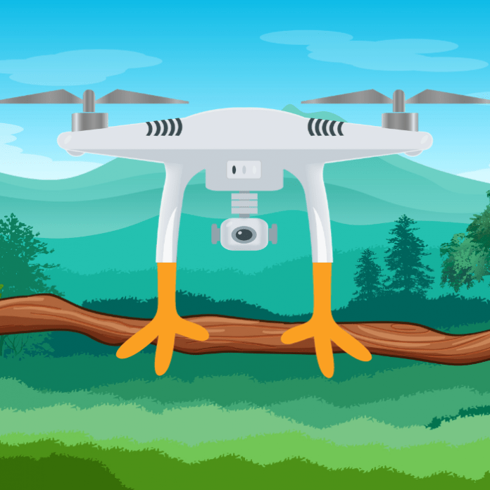 Conoce todo sobre el increíble dron que tiene patitas similares a las de las aves.-Blog Hola Telcel