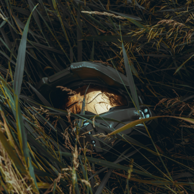 Conoce todo sobre las novedades que Nintendo tiene preparadas.-Blog Hola Telcel