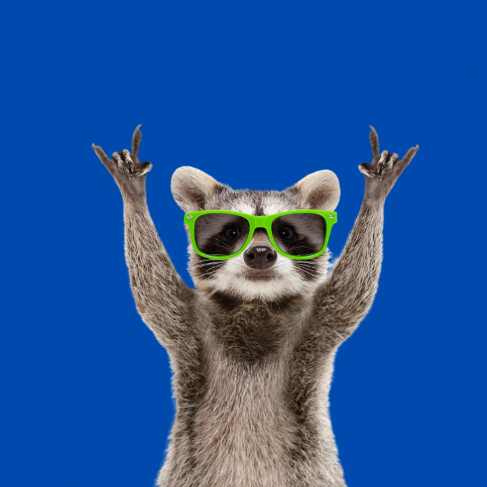 Conoce todo sobre el videojuego Wanted Raccoon en el que eres un mapache.- Blog Hola Telcel