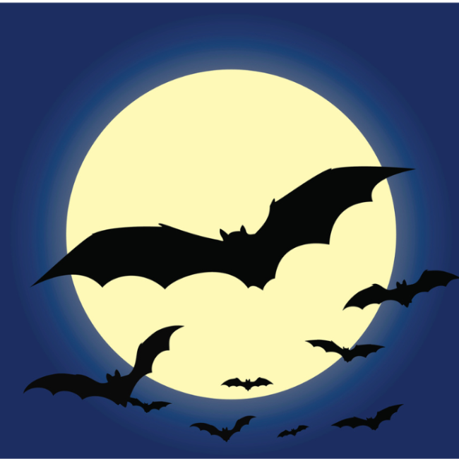 serie animada Batman Conoce todo sobre la nueva serie animada de Batman: Caped Crusader clasificación C.- Blog Hola Telcel