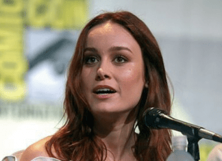 Brie Larson en la Comi Con. Su personaje, Capitana Marvel podría desaparecer del UCM.- Blog Hola Telcel.