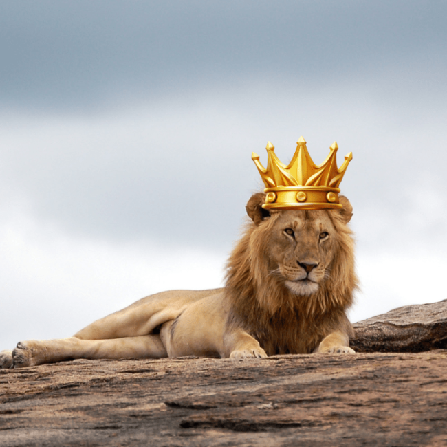 Ya se encuentra el primer tráiler de 'Mufasa: El Rey León', de Disney.-Blog Hola Telcel.