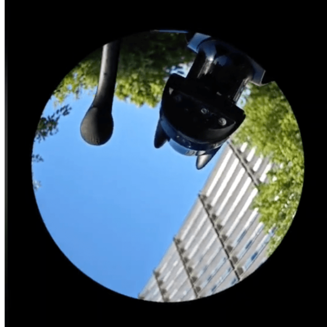 Cyberdog de Xiaomi Robot baliando al ritmo de la canción Pedro.- Blog Hola Telcel