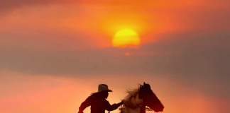 Vaquero cabalgando ante la puesta del sol en la serie 'Yellowstone'.- Blog Hola Telcel