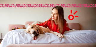 Películas con perros como protagonistas.- Blog Hola Telcel