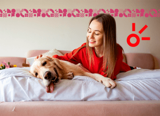 Películas con perros como protagonistas.- Blog Hola Telcel