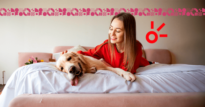 Películas con perros como protagonistas.- Blog Hola Telcel