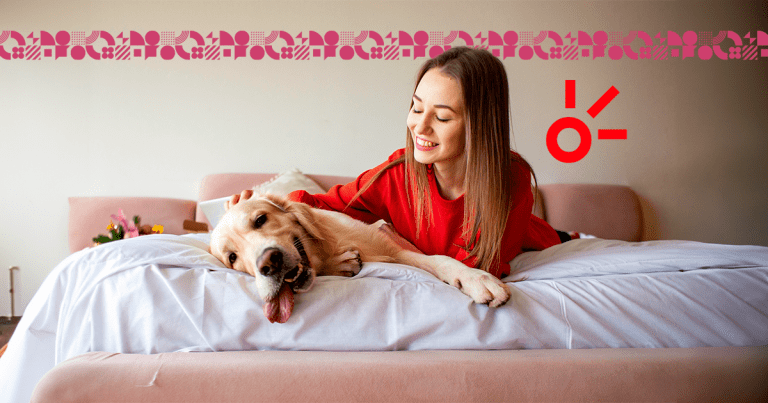 Pelis Películas con perros como protagonistas.- Blog Hola Telcel