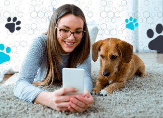 ‘Gadgets’ para perros que harán tu vida y la de tu mejor amigo más cómoda.- Blog Hola Telcel