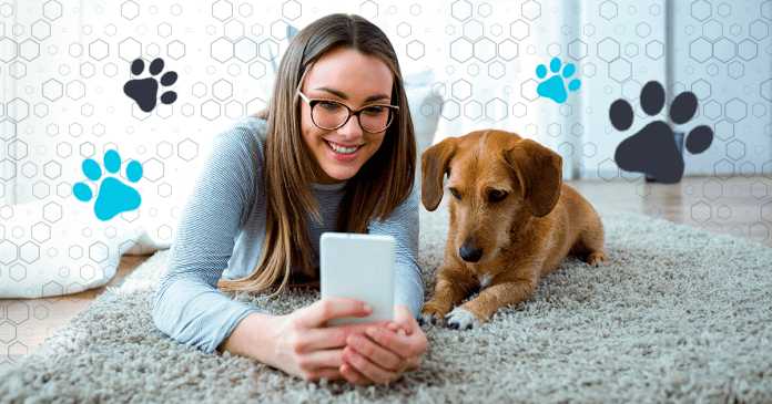 ‘Gadgets’ para perros que harán tu vida y la de tu mejor amigo más cómoda.- Blog Hola Telcel