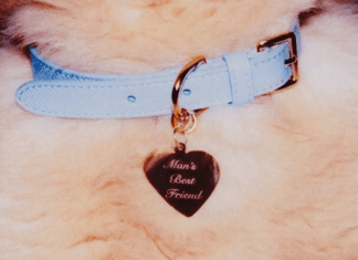 Ya está aquí ‘Man’s Best Friend’ de Sabrina Carpenter.- Blog Hola Telcel