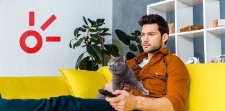 Cinco películas de gatos que no sabías que necesitabas ver.- Blog Hola Telcel