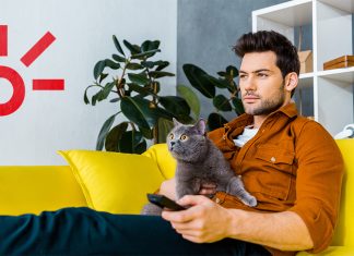 Cinco películas de gatos que no sabías que necesitabas ver.- Blog Hola Telcel