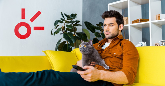 Cinco películas de gatos que no sabías que necesitabas ver.- Blog Hola Telcel