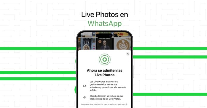 Fotos con movimiento en WhatsApp: compártelas desde tu iPhone fácilmente.- Blog Hola Telcel