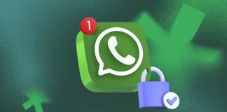 WhatsApp activa opción para mostrar solo tu nombre.- Blog Hola Telcel